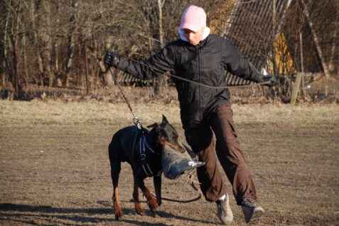 Training in Estonia 30.3 - 1.4. 2007